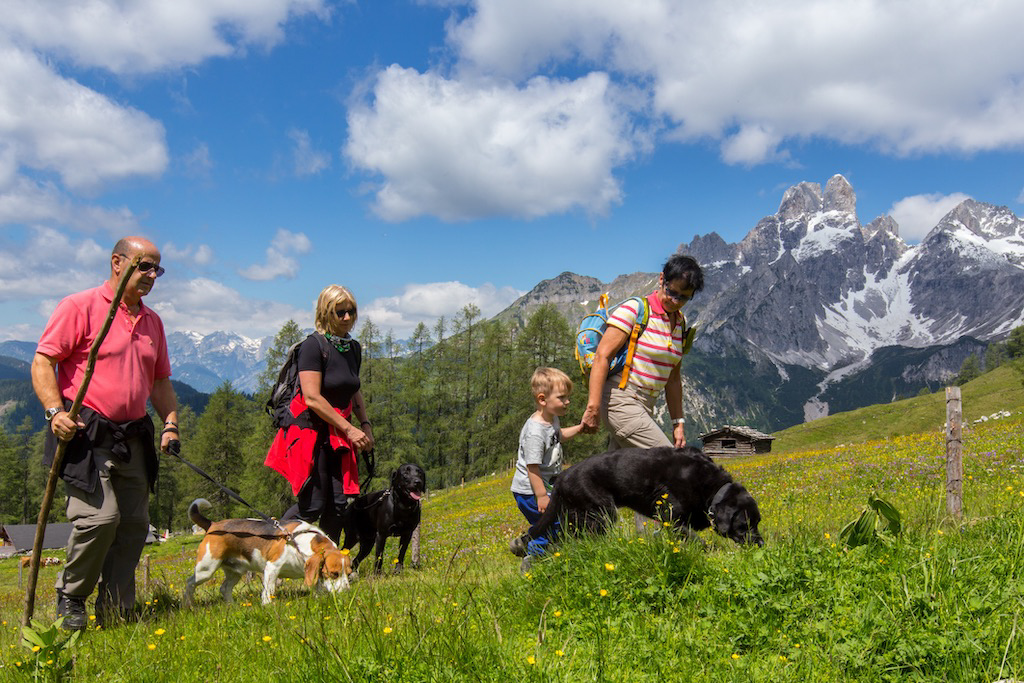 Wandern-mit-Hund_IMG_1102